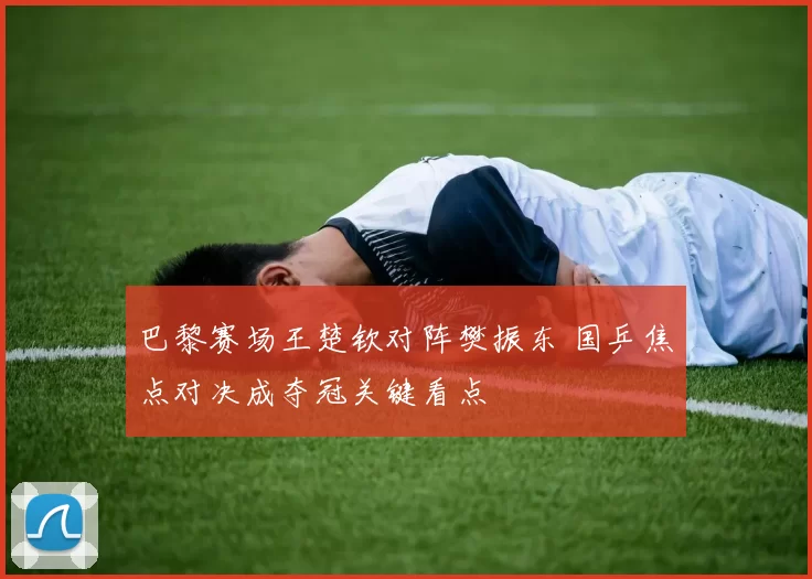 巴黎赛场王楚钦对阵樊振东 国乒焦点对决成夺冠关键看点