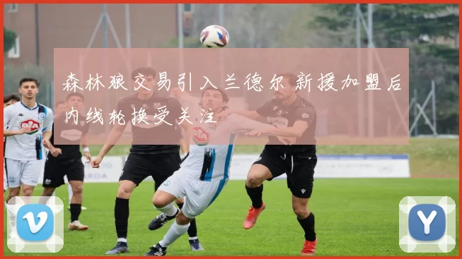 森林狼交易引入兰德尔 新援加盟后内线轮换受关注